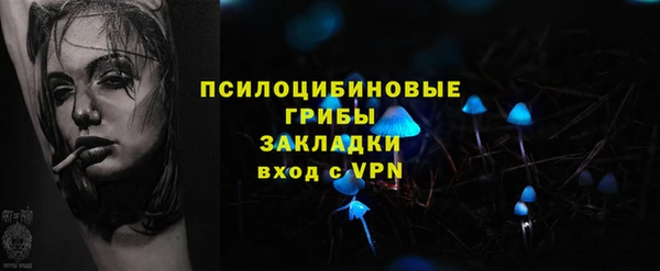 молекула духа Абинск