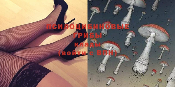 молекула духа Абинск