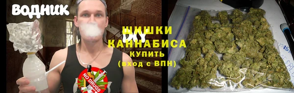 молекула духа Абинск