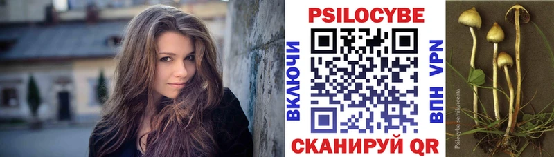 Галлюциногенные грибы Psilocybe Касимов